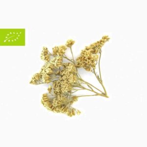 axillea-achillea-40gr