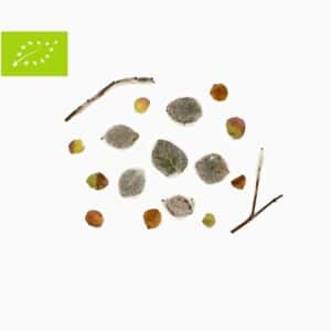 diktamo-origanum-dictamnus-40gr