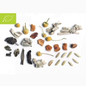 Olympos Detox bio 50gr