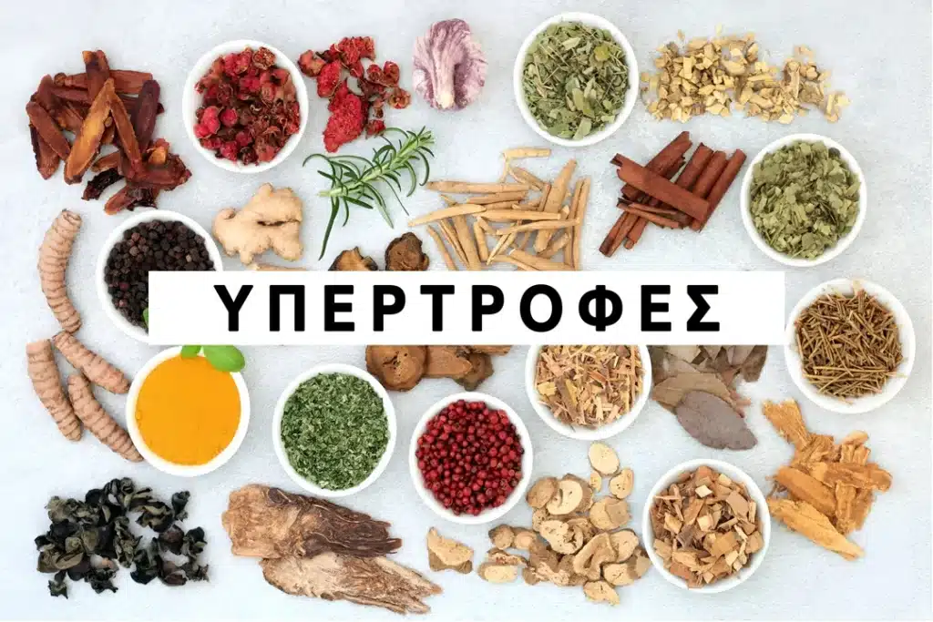Υπερτροφές