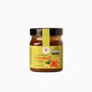 Μαρμελάδα Ιπποφαές με Μήλο Χωρίς Ζάχαρη 290g | KoupStore